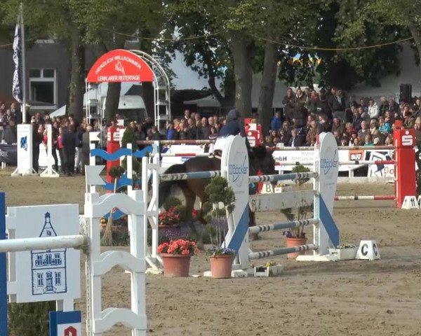 Lenklarer Reitertage 2014