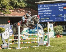 Springpferd Leander B (Holsteiner, 2019, von Lentini)
