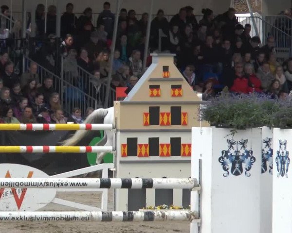 Lenklarer Reitertage 2014