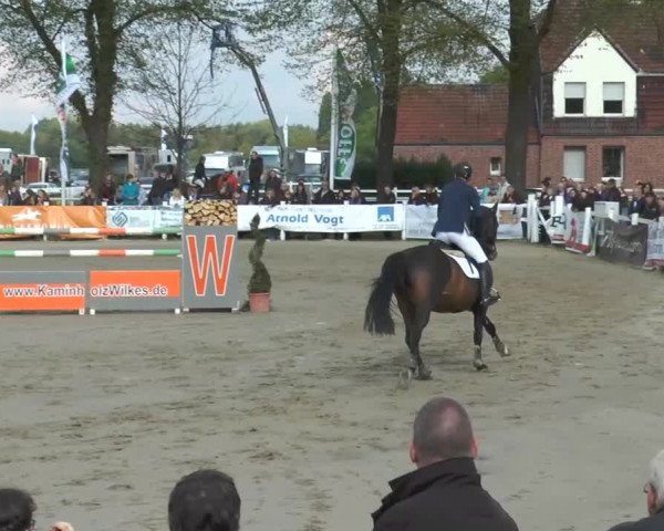 Reitturnier Werne-Lenklar 2014