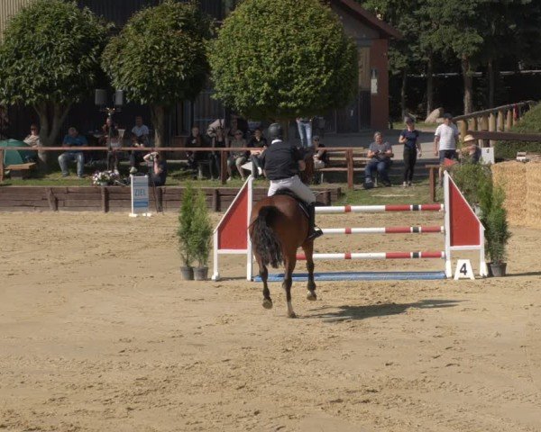 Reitturnier Schönfeld 2025