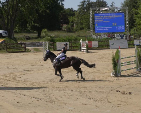 Reitturnier Schönfeld 2025