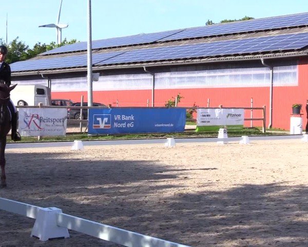 Reitturnier Sörup Dressurturnier 2025