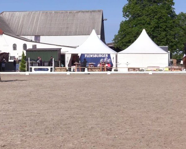 Reitturnier Sörup Dressurturnier 2025