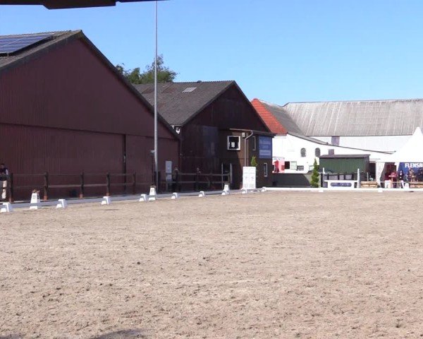 Reitturnier Sörup Dressurturnier 2025