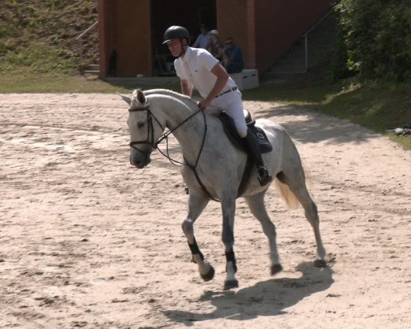 Reitturnier Letmathe 2025