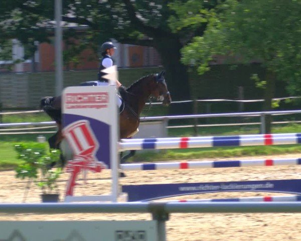 Reitturnier Coesfeld/Lette 2025