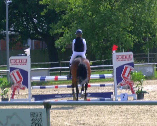 Reitturnier Coesfeld/Lette 2025
