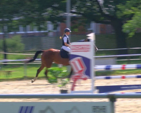 Reitturnier Coesfeld/Lette 2025