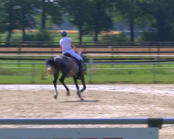 Reitturnier Coesfeld/Lette 2025