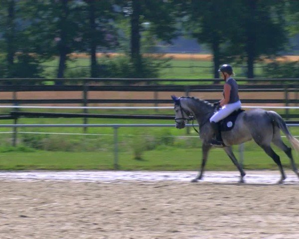 Reitturnier Coesfeld/Lette 2025