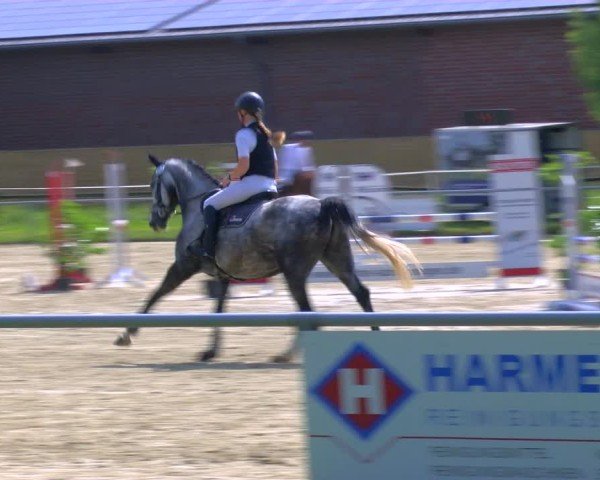Reitturnier Coesfeld/Lette 2025