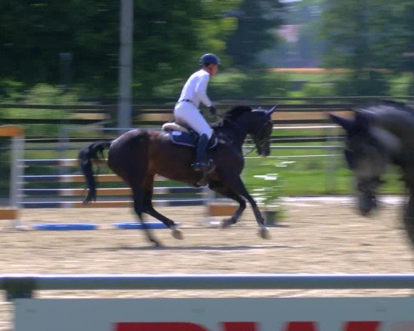 Reitturnier Coesfeld/Lette 2025