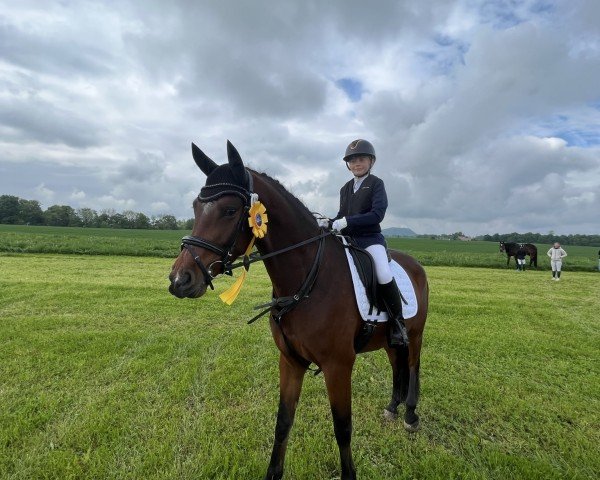dressage horse Tennessee MW (German Riding Pony, 2020, from Birkhof's Topas Fbw)