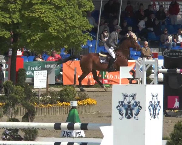 Lenklarer Reitertage 2014