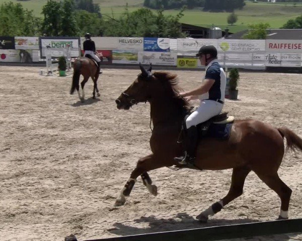 Reitturnier Ruswil 2025
