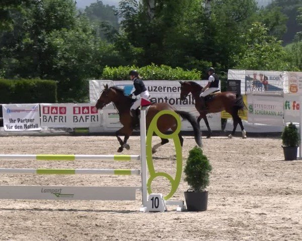 Reitturnier Ruswil 2025