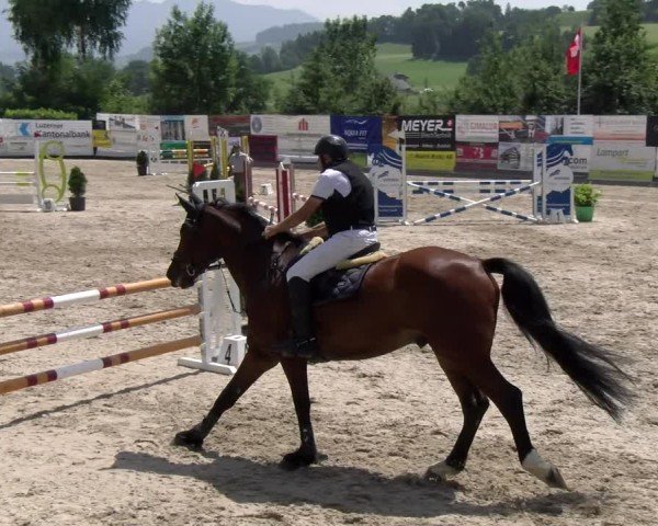 Reitturnier Ruswil 2025
