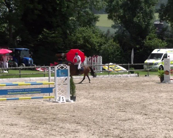 Reitturnier Ruswil 2025