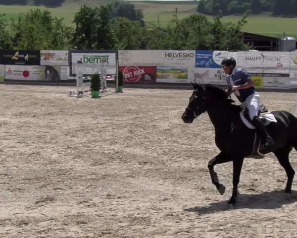Reitturnier Ruswil 2025
