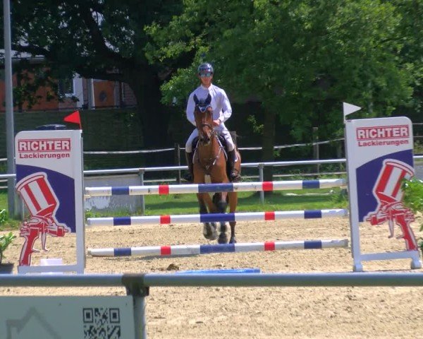 Reitturnier Coesfeld/Lette 2025