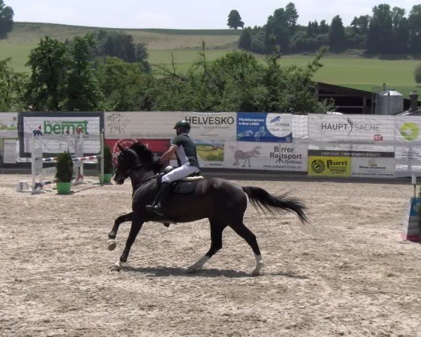 Reitturnier Ruswil 2025