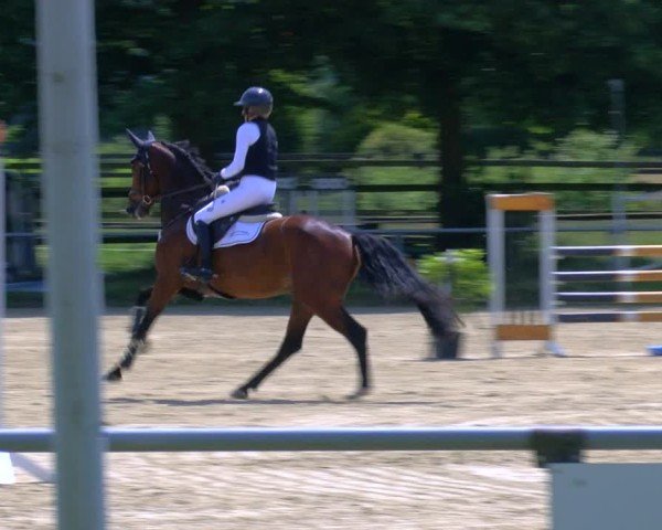 Reitturnier Coesfeld/Lette 2025
