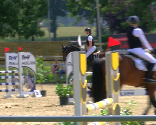 Reitturnier Coesfeld/Lette 2025