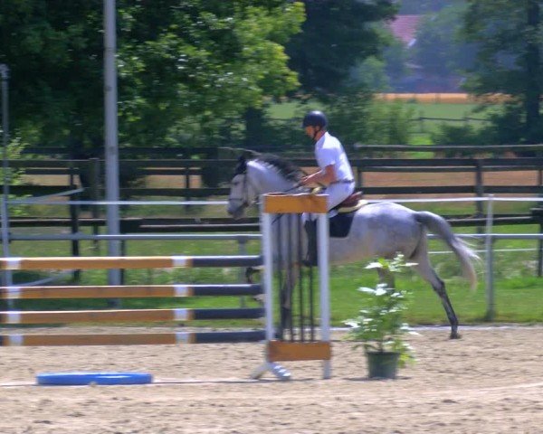 Reitturnier Coesfeld/Lette 2025