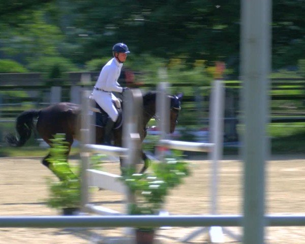 Reitturnier Coesfeld/Lette 2025