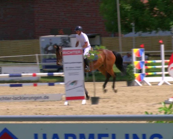 Reitturnier Coesfeld/Lette 2025