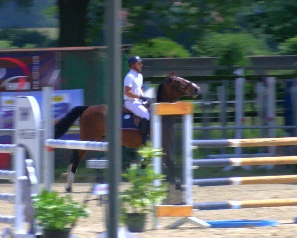 Reitturnier Coesfeld/Lette 2025