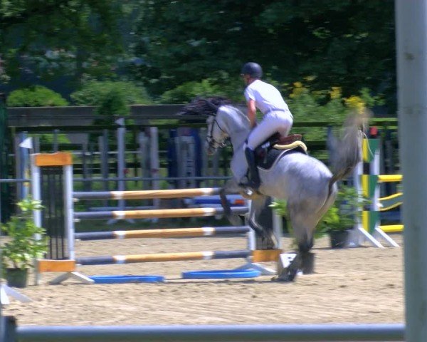 Reitturnier Coesfeld/Lette 2025
