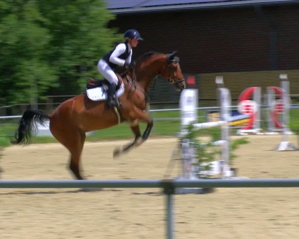 Reitturnier Coesfeld/Lette 2025