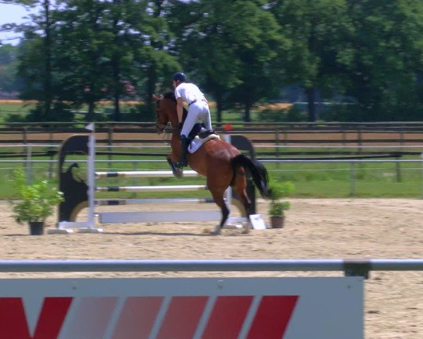 Reitturnier Coesfeld/Lette 2025