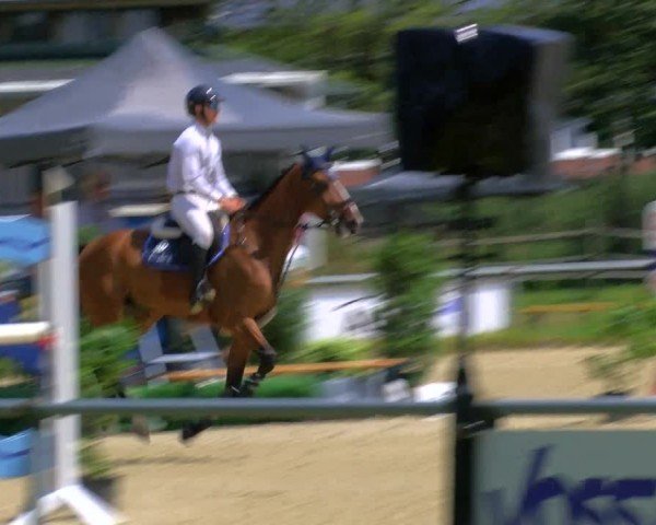 Reitturnier Coesfeld/Lette 2025
