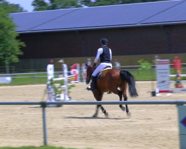 Reitturnier Coesfeld/Lette 2025