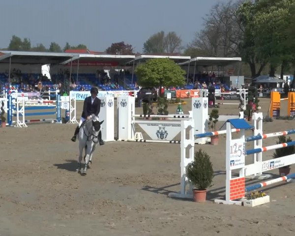 Reitturnier Werne-Lenklar 2014