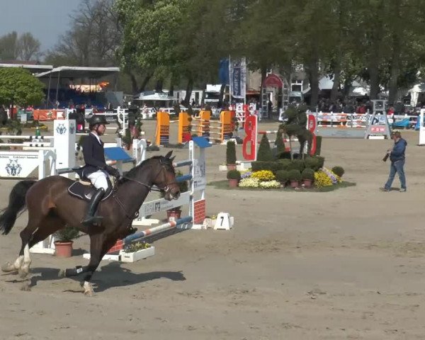 Reitturnier Werne-Lenklar 2014