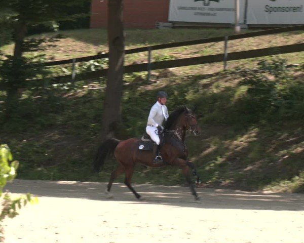 Reitturnier Letmathe 2025