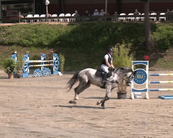 Reitturnier Letmathe 2025