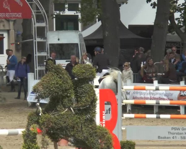 Reitturnier Werne-Lenklar 2014