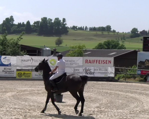 Reitturnier Ruswil 2025