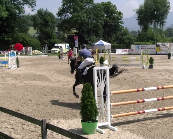 Reitturnier Ruswil 2025