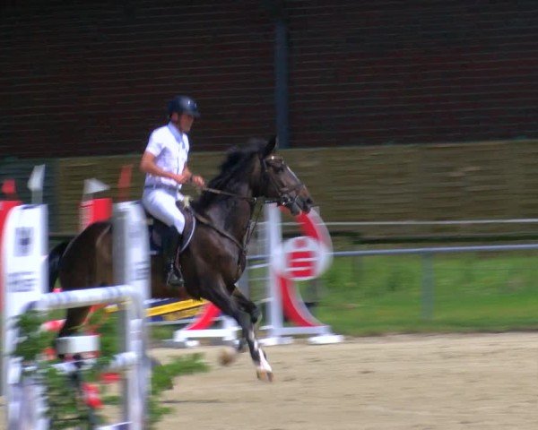 Reitturnier Coesfeld/Lette 2025