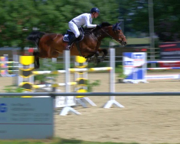 Reitturnier Coesfeld/Lette 2025