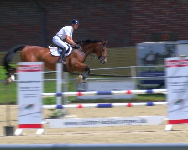 Reitturnier Coesfeld/Lette 2025