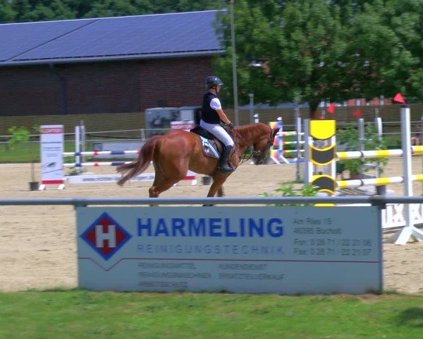 Reitturnier Coesfeld/Lette 2025