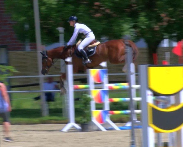 Reitturnier Coesfeld/Lette 2025