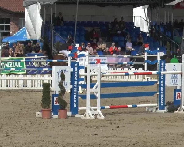 Reitturnier Werne-Lenklar 2014